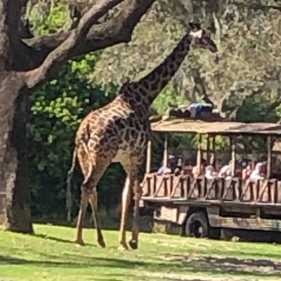 Meet your Posher, Hanson - Picture 1 of 1